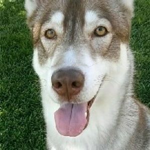 Meet your Posher, Teresa